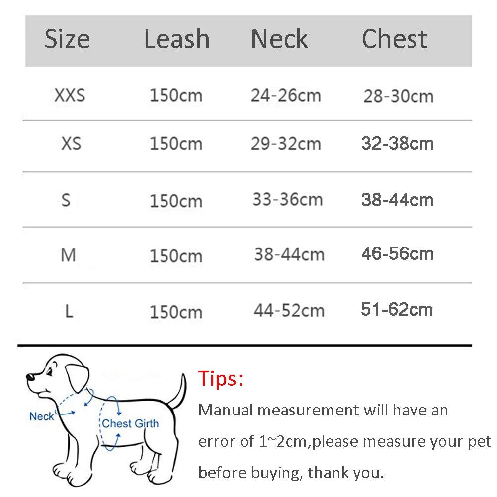 Dog Harness & Leash Set - Outdoor Paws Provision